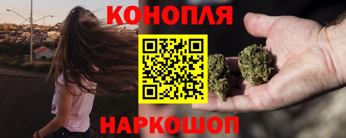 Канабис планчик Коммунар